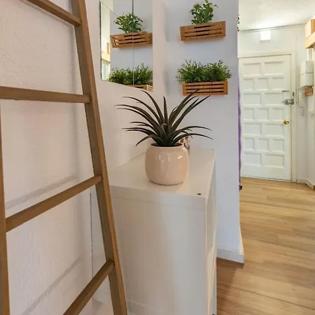 Acogedor Estudio En *